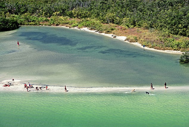 __ݵСDog beach